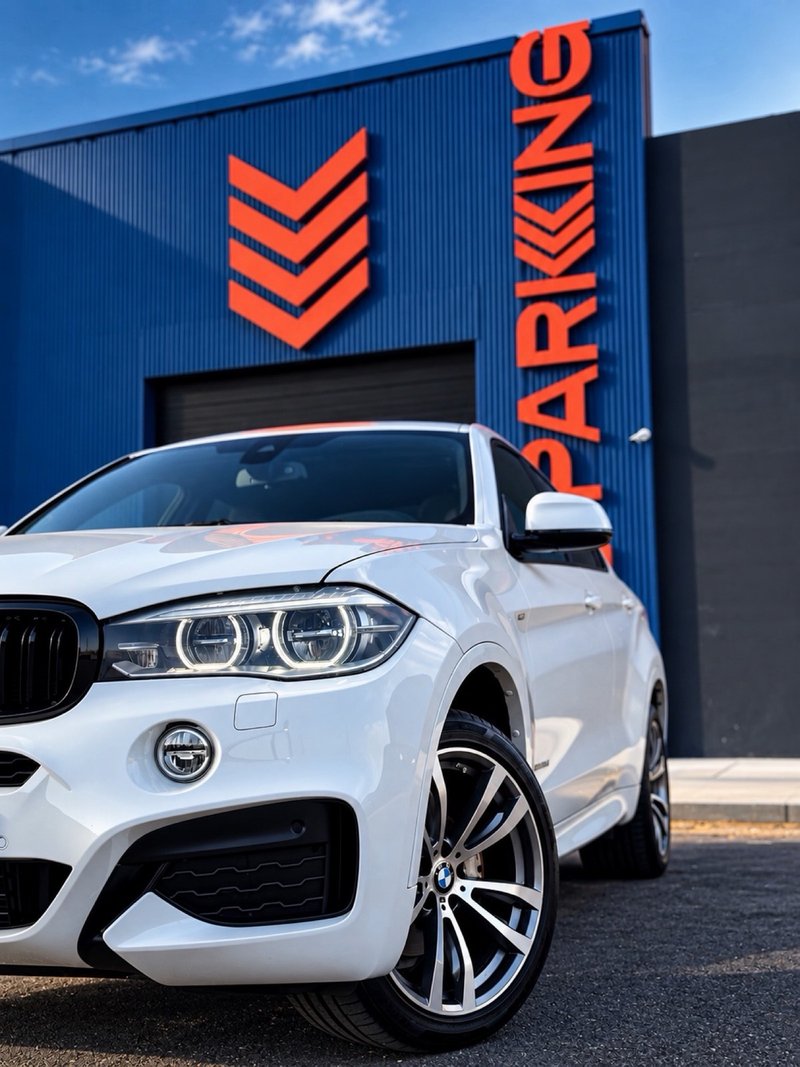 BMW X6 xDrive 30d (F16) 2016, foto 2
