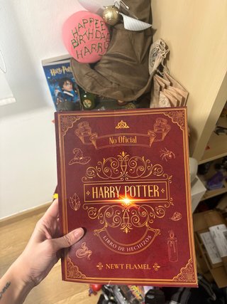 Libro de Hechizos de Harry Potter