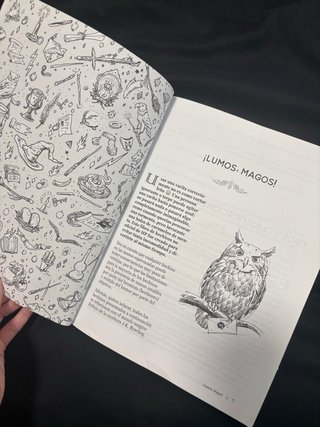 Libro de Hechizos de Harry Potter