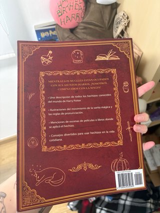Libro de Hechizos de Harry Potter