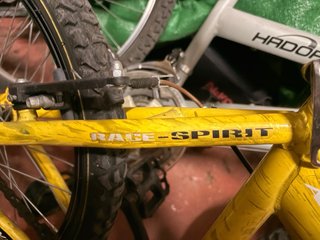 Bicicleta Infantil BTT Storm Race-Spirit R20