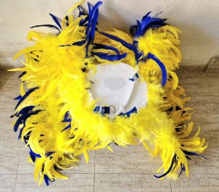 Lote de 2 Alas de plumas para carnaval