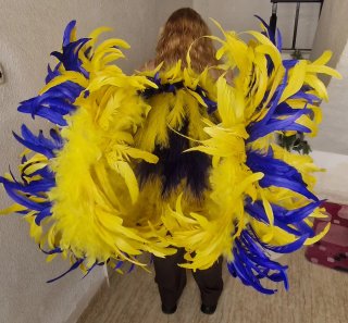 Lote de 2 Alas de plumas para carnaval