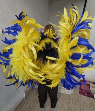 Lote de 2 Alas de plumas para carnaval
