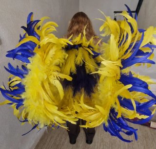 Lote de 2 Alas de plumas para carnaval