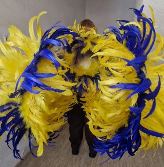 Lote de 2 Alas de plumas para carnaval
