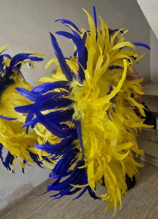 Lote de 2 Alas de plumas para carnaval