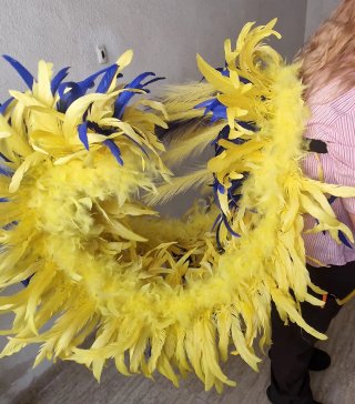 Lote de 2 Alas de plumas para carnaval