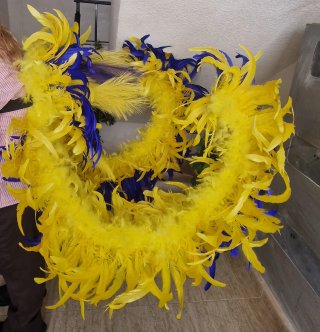 Lote de 2 Alas de plumas para carnaval