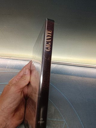 DVD Gigante Edizione Speciale 2 Dischi