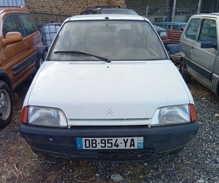 Citroen Ax 4x4
