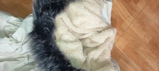 Parka Beige con Forro Polar y Pelo