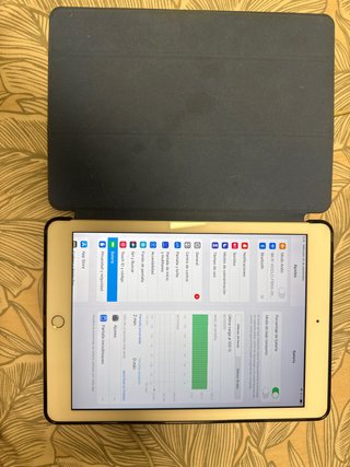 Apple iPad Plata IpadOS 16.7.10