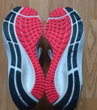 DEPORTIVAS NIKE PEGASUS N°36'5