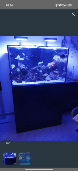 Acuario Marino Waterbox Completo