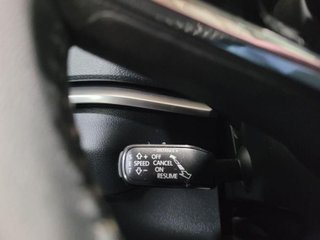 SKODA KAROQ 2.0 TDI 150cv DSG 4X4 Ambition