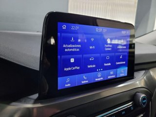 FORD FOCUS 1.5 Ecoblue 120cv Auto Titanium