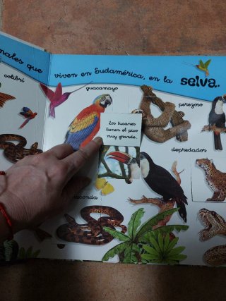 Gran libro la selva