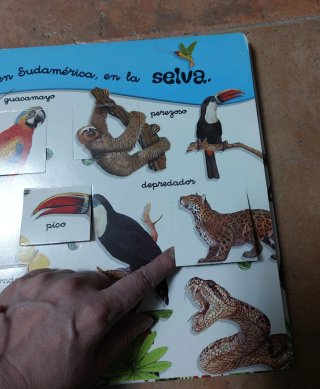 Gran libro la selva
