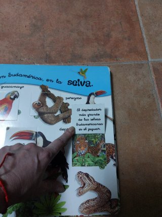 Gran libro la selva