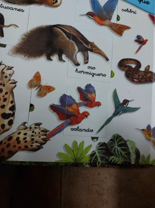 Gran libro la selva