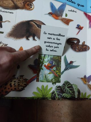 Gran libro la selva