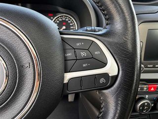 Jeep Renegade 1.4 Multiair Limited 4x4 Auto 125 kW (170 CV)