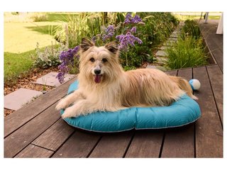 Cama para perros de exterior