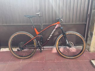 Canyon Neuron 7 - Cuadro Roto