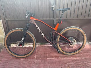 Canyon Neuron 7 - Cuadro Roto