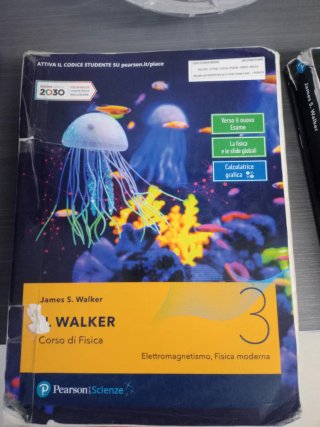 Walker 3