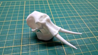 Llavero con figura de cráneo de elefante