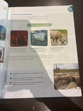 Coneixement del Medi, 6 Primària, Projecte Cons...