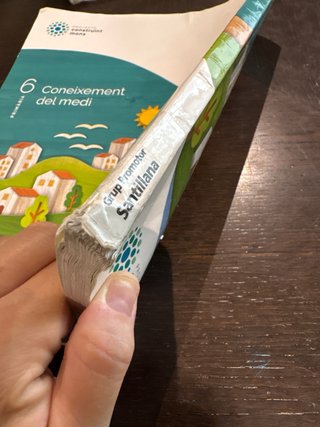Coneixement del Medi, 6 Primària, Projecte Cons...