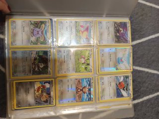 Álbum de Cartas Pokémon