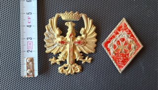 Lote 2 insignias militares