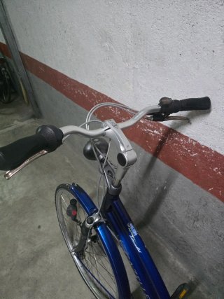 Bicicleta Gazelle Azul