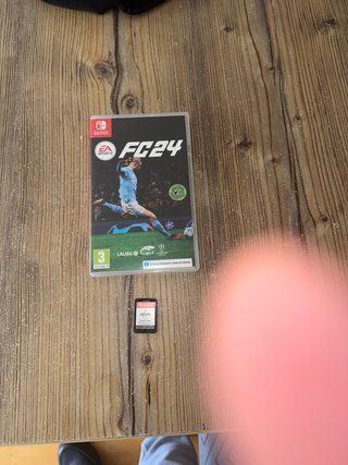 FC 24 Nintendo Switch