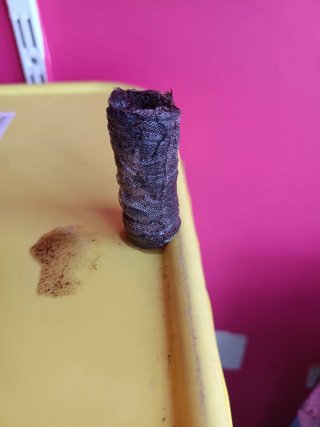 Pastillas de germinación Jiffy