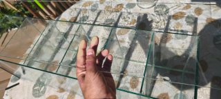 Acuario de Cristal