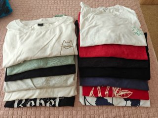Pack de 13 Camisetas de hombre en Talla M