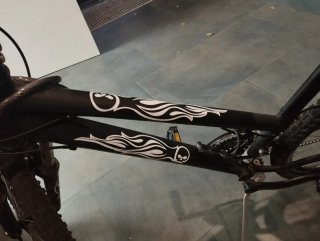Bicicleta WST MTR Aluminium 26
