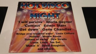 Vinilo Hot Disco Night