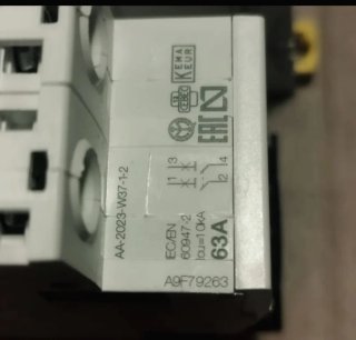 Schneider Interruptor Magnetotérmico IC60N 2P 63A