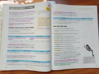 Lengua Castellana y Literatura 4, Segundo Ciclo...