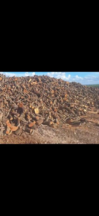 Leña para chimenea o barbacoa