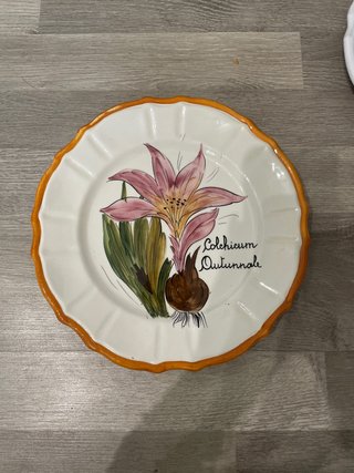 Piatto vintage con decoro piante officinali