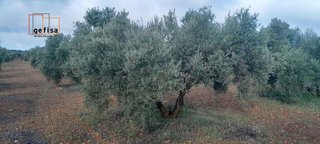 Terreno en venta en Centro en Valdepeñas