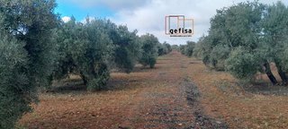 Terreno en venta en Centro en Valdepeñas