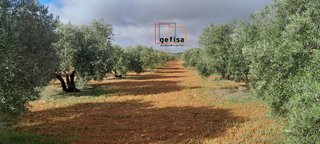 Terreno en venta en Centro en Valdepeñas